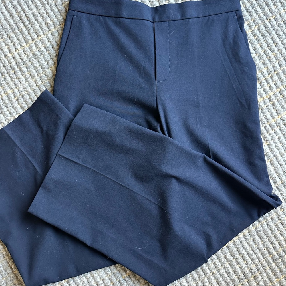 Banana Republic Deep Blue Hayden Pants